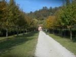 dscn5776.jpg