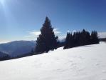 img_3597.jpg