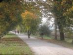 dscn1676.jpg