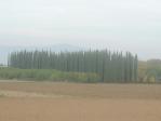 dscn1696.jpg