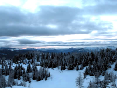 14_03_2010_400.jpg