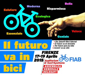 assemblea_fiab2015.jpg