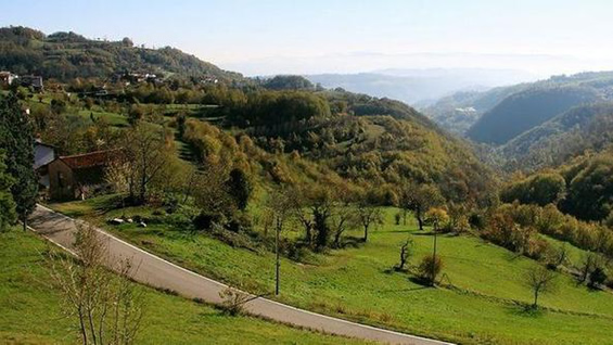 22_01_2017_vicenza.jpg