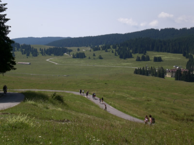 24_luglio_vi_2011.jpg