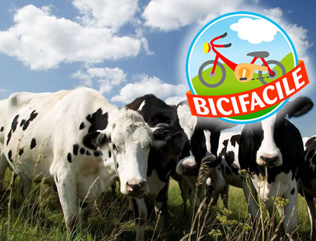 27_05_2012_bicifacile.jpg