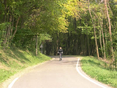 4_09_2011_vicenza_montello.jpg