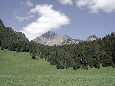 parco_dolomiti_400.jpg